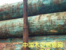 ݗ���ɵ�Ԕ����B