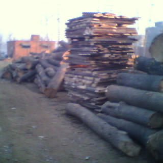 ��ͩľҎ����Ԕ����B