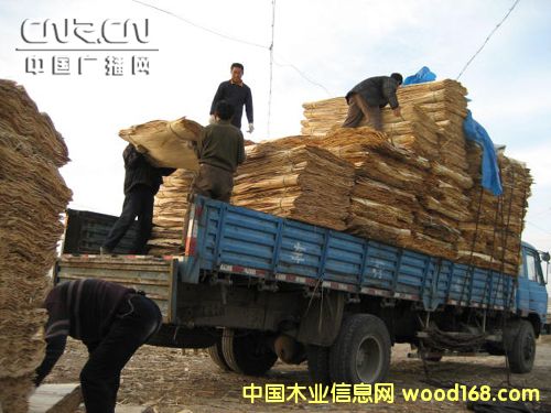 ��Ƥ��Ԕ����B