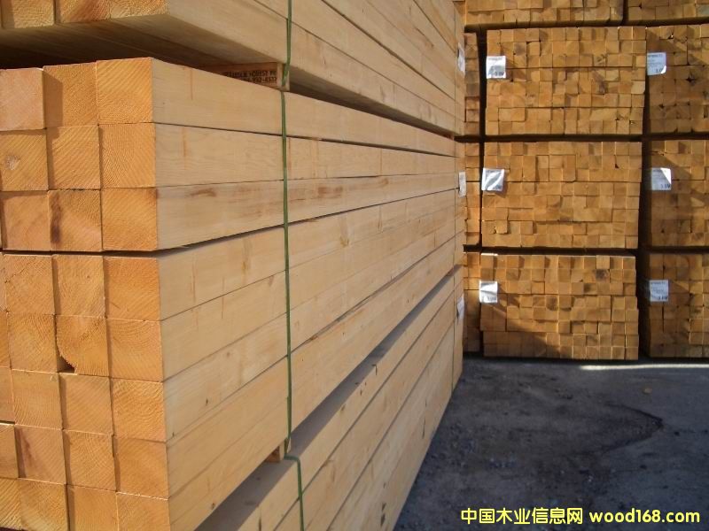 �Fɼ��Ԕ����B