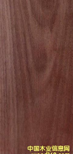 FSC�ں��ҵ�Ԕ����B