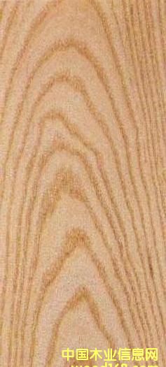 FSCˮ������Ԕ����B