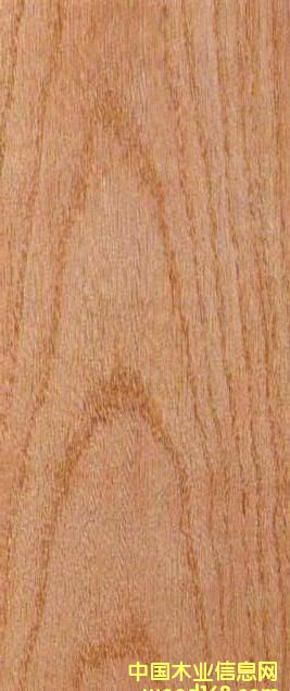 FSC�t���Ԕ����B