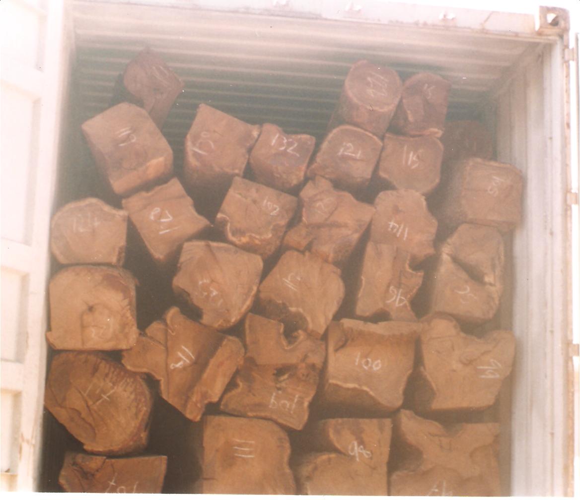 ���ǁ������Ԕ����B