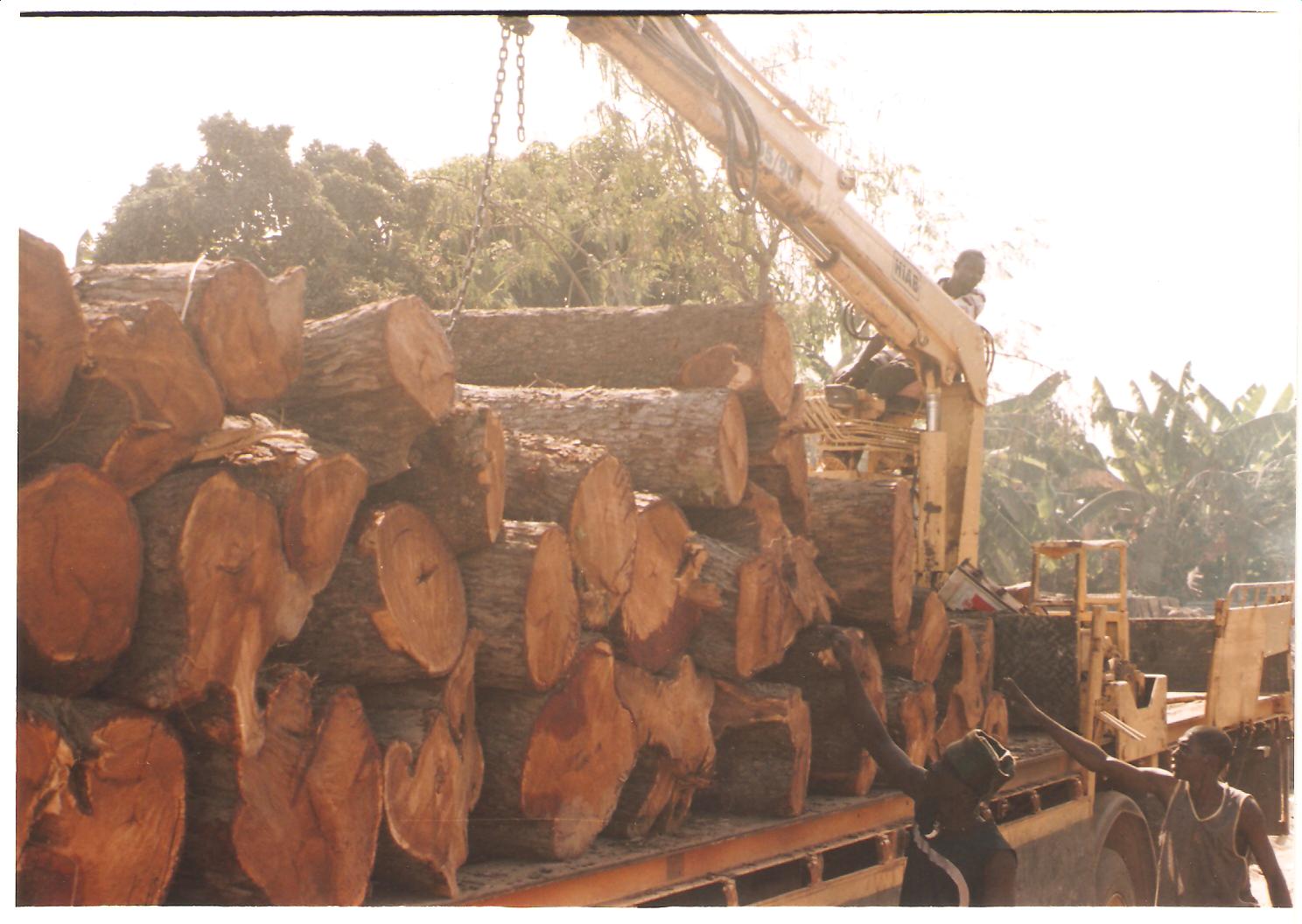 ���ǁ������Ԕ����B