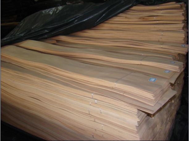 �t��ľƤ��Ԕ����B