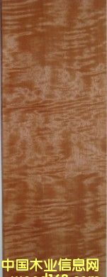 ��������Ӱ