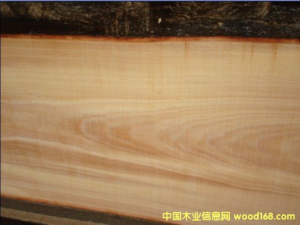 �W�ޙ�ľ��Ԕ����B