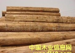 ���ô���ľ��Ԕ����B