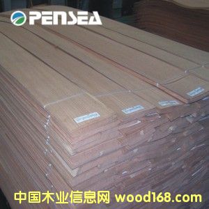 �t��ľƤ��Ԕ����B