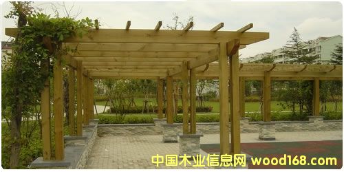 ����ľ����