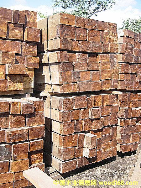 �ڽ���ľ��Ԕ��(x��)��B