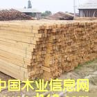 ��ľ���ϵ�Ԕ��(x��)��B