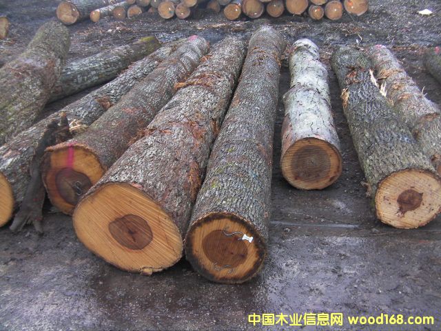 ɽ���ҵ�Ԕ����B