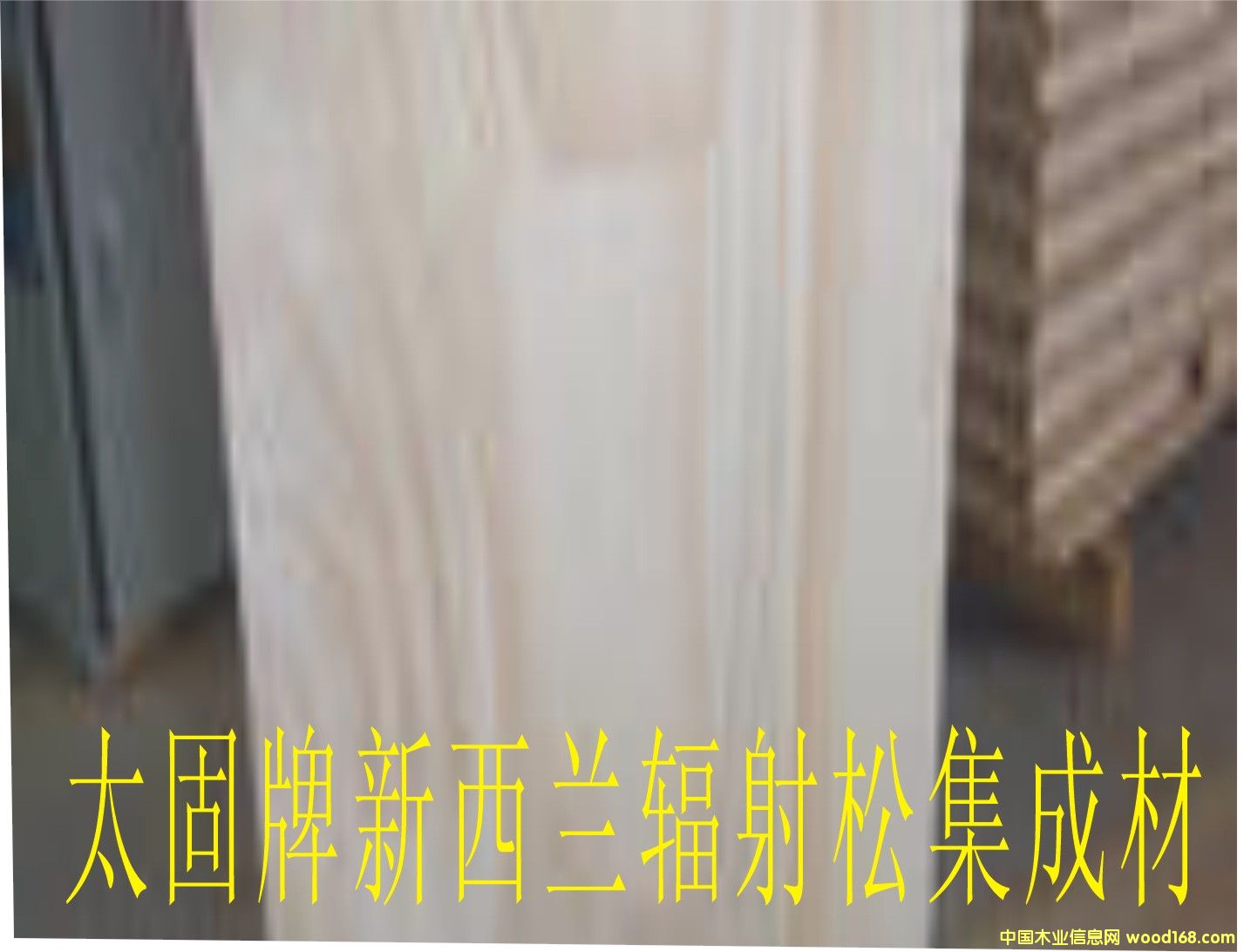 �����mݗ���ɼ��ɲ�