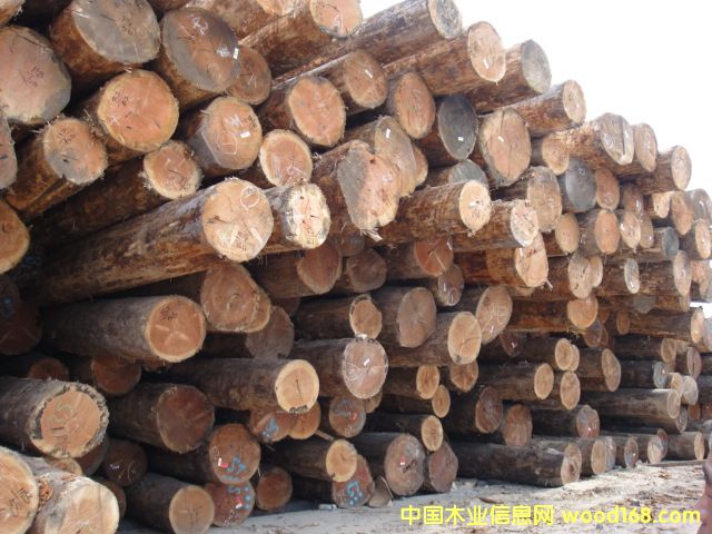 ������ԭľ