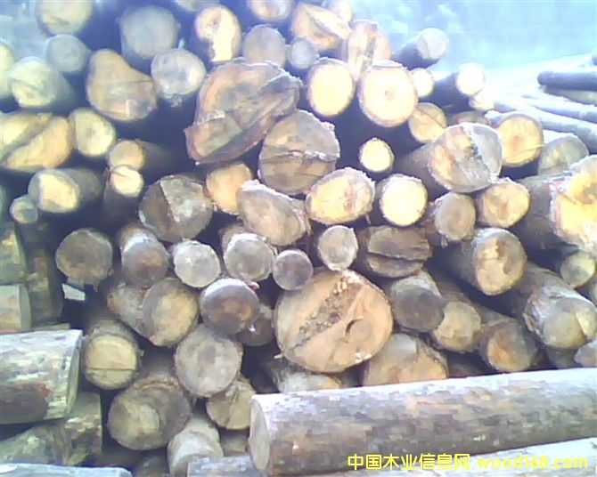 �ӹ��S������Ԕ����B