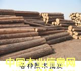 �M�����~��