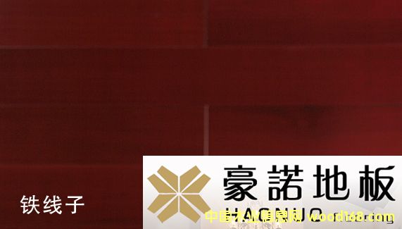 ���Z�ذ� �F���ӵ�Ԕ����B