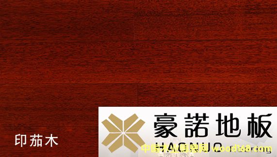 ���Z�ذ� ӡ��ľ��Ԕ����B