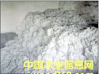 �c���鿴ľ�|���w�S�Ŵ�DƬ