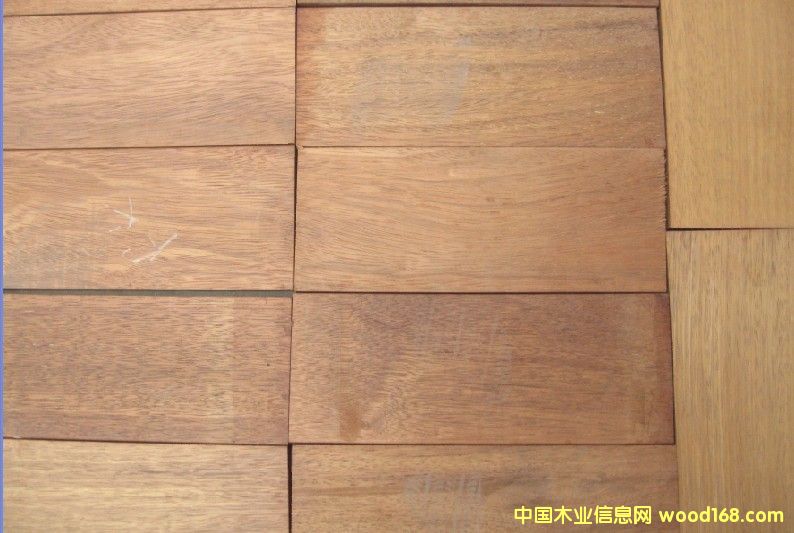 ���}��ذ��ϵ���5500Ԫ/����