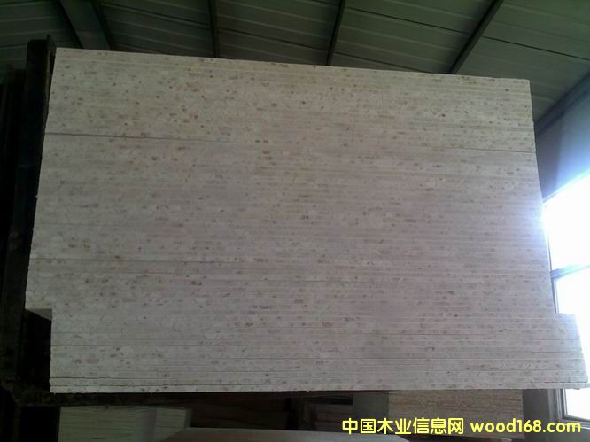 ��ľ��ľ����