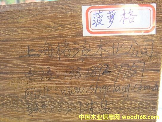 ���޲��}���Ԕ��(x��)��B