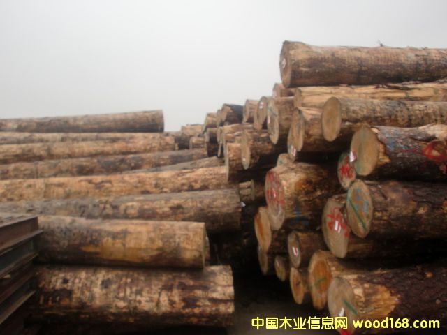 �����m��ԭľ��Ԕ����B