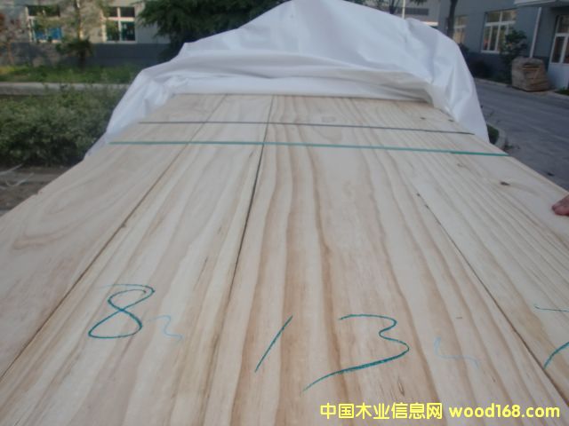 �����mݗ���ɵ�Ԕ����B