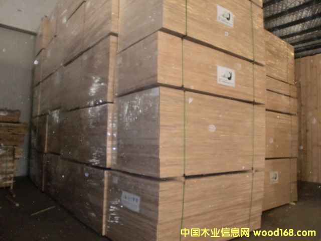 �����m��ƴ���Ԕ����B