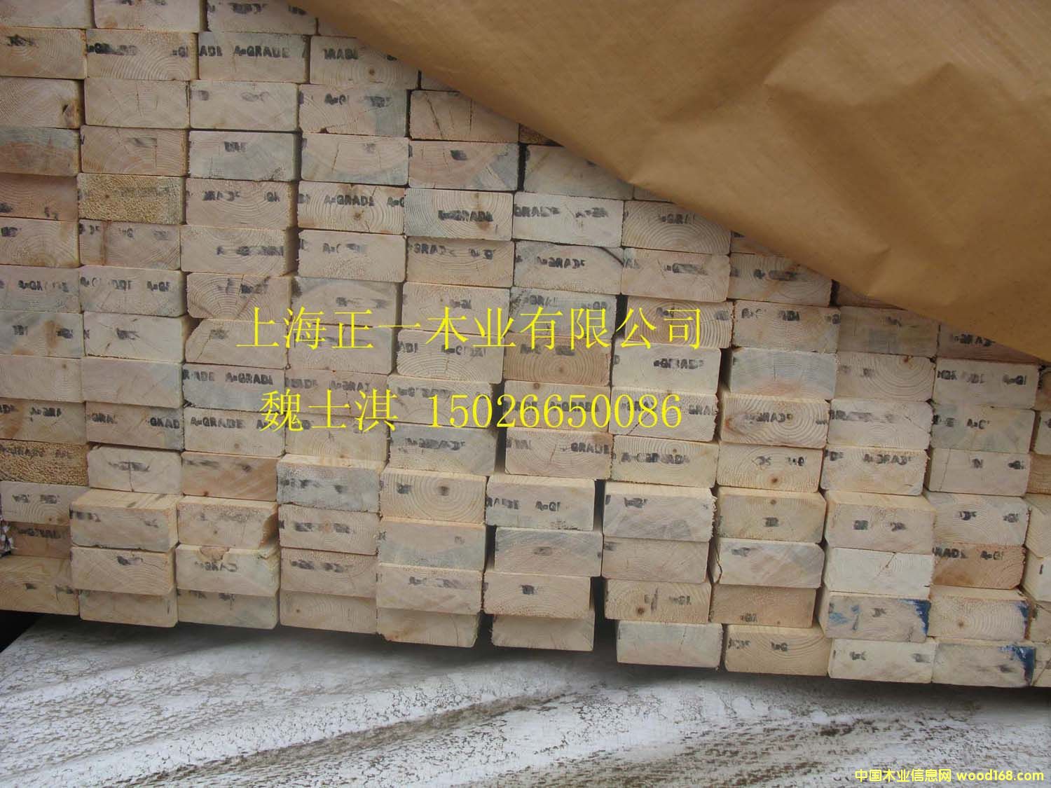 ľ�݄e���òĵ�Ԕ����B