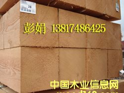 �����ɰ�ĵ�Ԕ����B