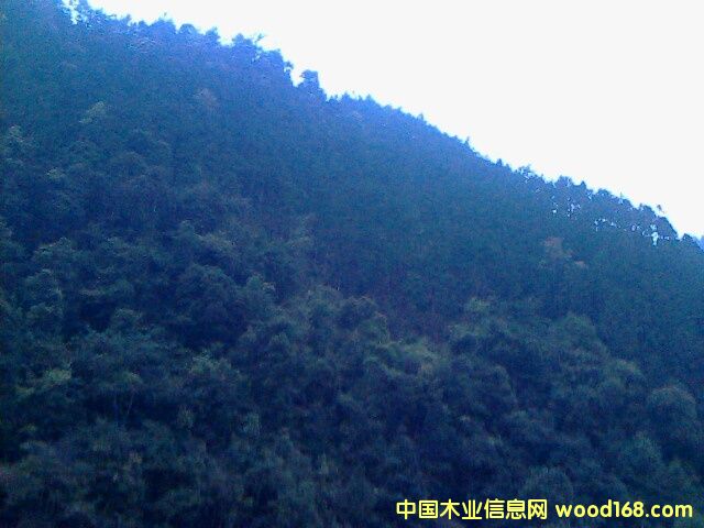 �ֈ���Ԕ����B