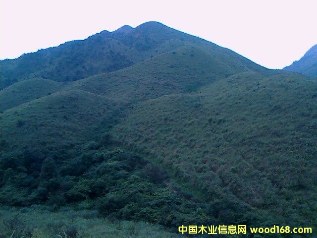 �ֵ����U�а�