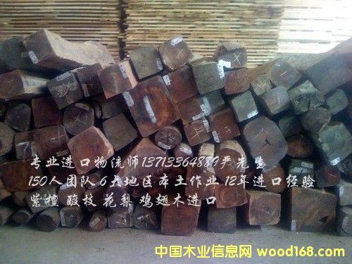 ��(gu��)���ֈ�(ch��ng)��ُ(g��u)ľ�Ĵ���/ԭľ�M(j��n)�ڈ�(b��o)�P(gu��n)