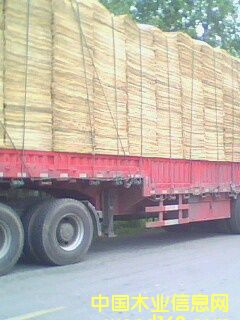 ��Ƥ���ΰ��Ԕ��(x��)��B