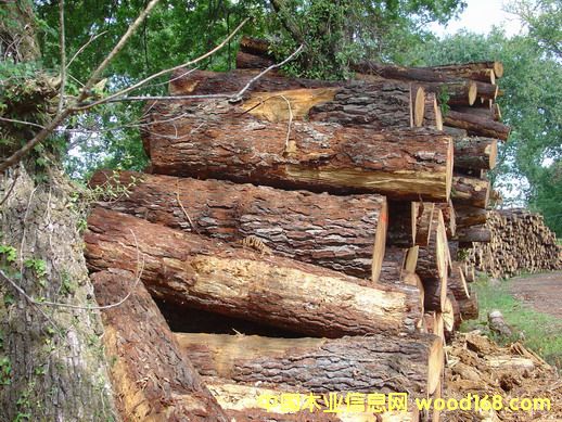 �����Ϸ������ɵ�Ԕ����B