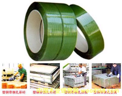 �c���鿴pet��䓎��Ŵ�DƬ