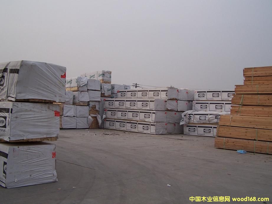 spf��Ԕ����B