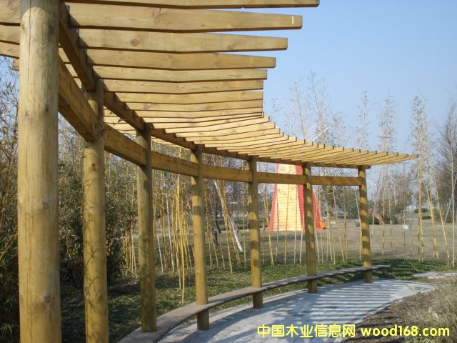 ݗ���ɷ���ľ��Ԕ����B