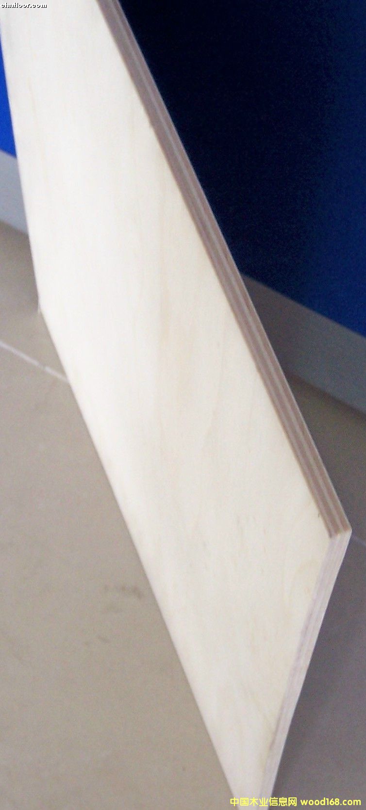 ��ľ�ذ���ĵ�Ԕ��(x��)��B