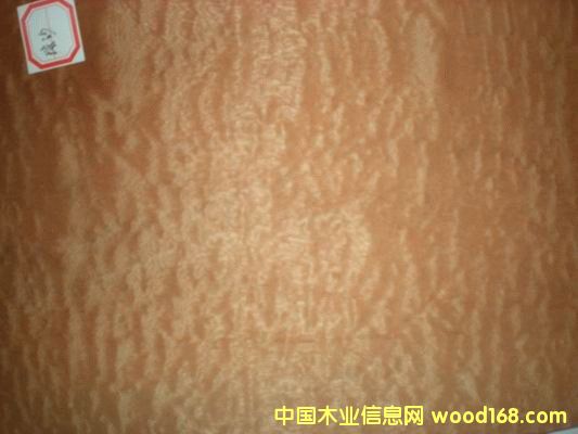 ��Ӱɳ����ľƤ��Ԕ����B