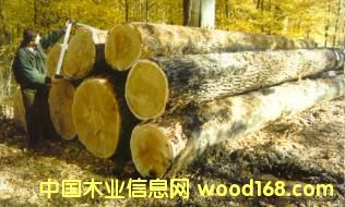 ��ľԭľ��Ƭ��Ԕ����B