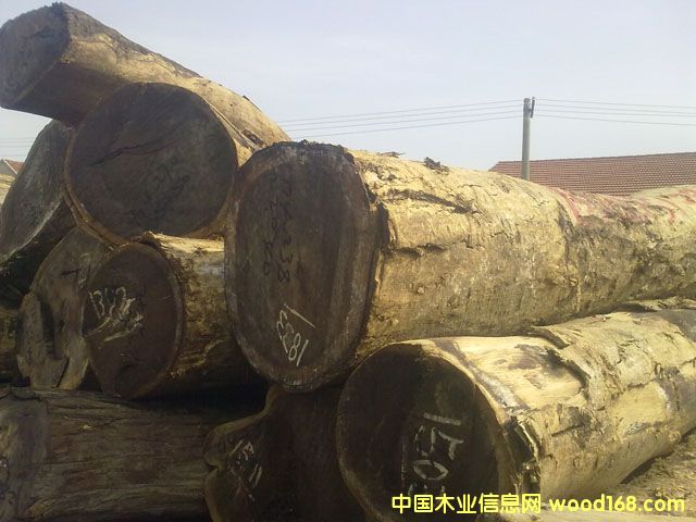 �u���Ԕ����B