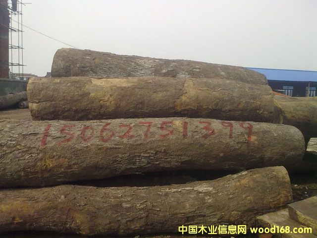 Ƥ�ҵ�Ԕ����B