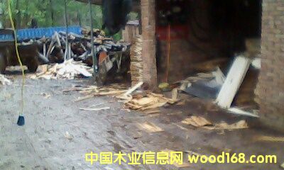 �c���鿴��ľ��ķŴ�DƬ