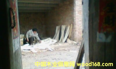 �c���鿴��ľ��ķŴ�DƬ