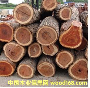 ���Ļ�ľ��Ԕ����B