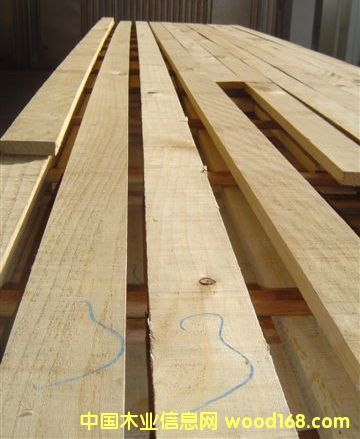 �����mݗ���ɵ�Ԕ����B